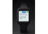 IWI Pit Watch