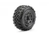 Jetko EX Belted Tyres on King Cobra SC Black wheel 12/14/17mm Hex (2)