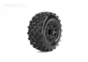 Jetko Extreme Westland SC Tyres On 2.2 SC 12/14/17mm Hex Black Wheels (2)