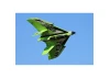 JP F-38 Delta Racer PNP - Green