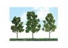 JTT 92102 Scenic Sycamore, 5 to 5.5, HO-Scale, (3 per pack)