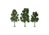 JTT 92102 Scenic Sycamore, 5 to 5.5, HO-Scale, (3 per pack)