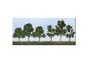 JTT 92119 Deciduous Sycamore, 2.5 to 4.5, N to HO-Scale, (20 per pack)