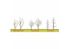 JTT 94124 Sycamore Tree Armature, 4, (3 per pack)