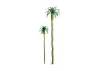 JTT 94240 Palm, 6 Inch (2 per pack)