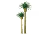 JTT 94354 Phoenix Palm, 3 Inch (3 per pack)