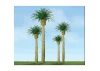 JTT 94354 Phoenix Palm, 3 Inch (3 per pack)