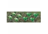 JTT 95530 Broccoli & Cauliflower, 5/8 width, O-Scale, (20 per pack)