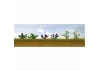 JTT 95558 Assorted Flower Plants 1, O-Scale, (10 per pack)