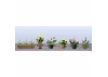 JTT 95569 Assorted Potted Flower Plants 3, HO-Scale, (6 pack)