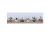 JTT 95569 Assorted Potted Flower Plants 3, HO-Scale, (6 pack)