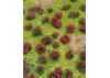 JTT 95604 Flowering Meadow Red, 5 x 7, Sheet