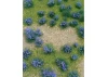 JTT 95606 Flowering Meadow Purple, 5 x 7, Sheet