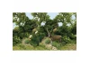 JTT 95703 Enchanted Forest