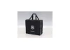 Kyosho Route 246 Carrying Bag F-300