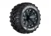 Louise RC MT-Cyclone 1:10 Sof T 1/2 Offset/Black Gp Jato 2WD