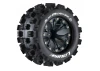 Louise RC MT-McRoss 1:10 Soft 0 Offset/Black Ep Stampede 2