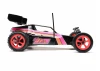 Losi 1:16 Mini JRX2 RTR