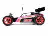 Losi 1:16 Mini JRX2 RTR