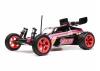 Losi 1:16 Mini JRX2 RTR