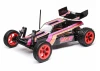 Losi 1:16 Mini JRX2 RTR