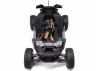 Losi RZR Rey RTR