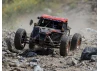 Losi 8IGHT-X Super Lasernut RTR