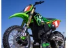 Losi 1:4 Promoto-MX RTR With Battery + Charger - Pro Circuit