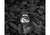 Castle Creations 4 Pole Sensored Brushless Motor - 1512-1800KV
