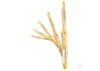 Master Airscrew 11x10 Beech Wood Propeller