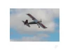 Max Thrust Riot ARTF - Red