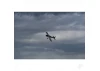 Max Thrust Ruckus - P51