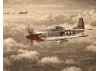 Mo-Fly P-51D Mustang 685mm 3D - RTF