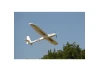 Multiplex RTF EasyGlider 4 (Mode 13)