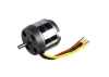 ROXXY BL Outrunner (C50-55-08)