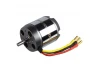 ROXXY BL Outrunner (C50-65-09)