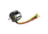ROXXY BL Outrunner (C22-16-25)