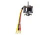 ROXXY BL Outrunner (C22-16-25)