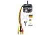 ROXXY BL Outrunner (C28-26-12)
