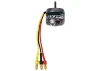 ROXXY BL Outrunner (C28-26-12)