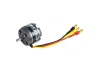 ROXXY BL Outrunner (C28-26-12)