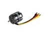 ROXXY BL Outrunner (C28-34-10)
