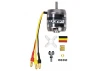 ROXXY BL Outrunner (C28-34-12)