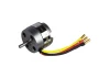 ROXXY BL Outrunner (C42-40-12)