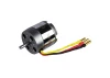 ROXXY BL Outrunner (C42-50-06)