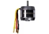 ROXXY BL Outrunner (C50-55-06)