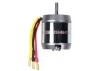 ROXXY BL Outrunner (C50-65-07)