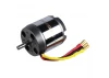 ROXXY BL Outrunner (C50-65-07)