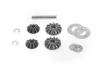 Differential / Internal Bevel Gears