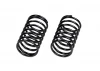 Spring Set 24x40x2.0mm 8 Coils (2)